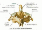 Imagen de cubierta local